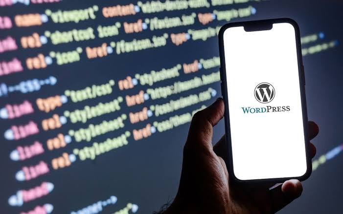 WordPress 插件定制：按你的业务逻辑，做出可维护、可升级的功能