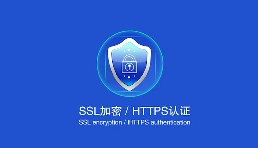 GoGetSSL 证书：给网站加上 HTTPS，价格先看清楚（通配符）